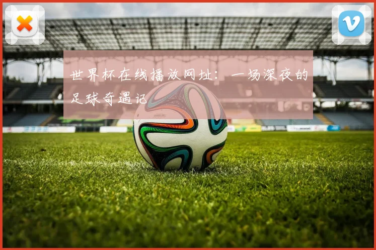 世界杯在线播放网址：一场深夜的足球奇遇记