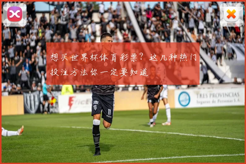 想买世界杯体育彩票？这几种热门投注方法你一定要知道